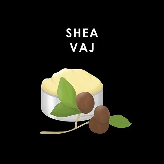 Shea vaj