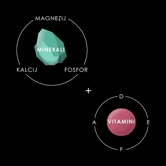 Vitamini in minerali 